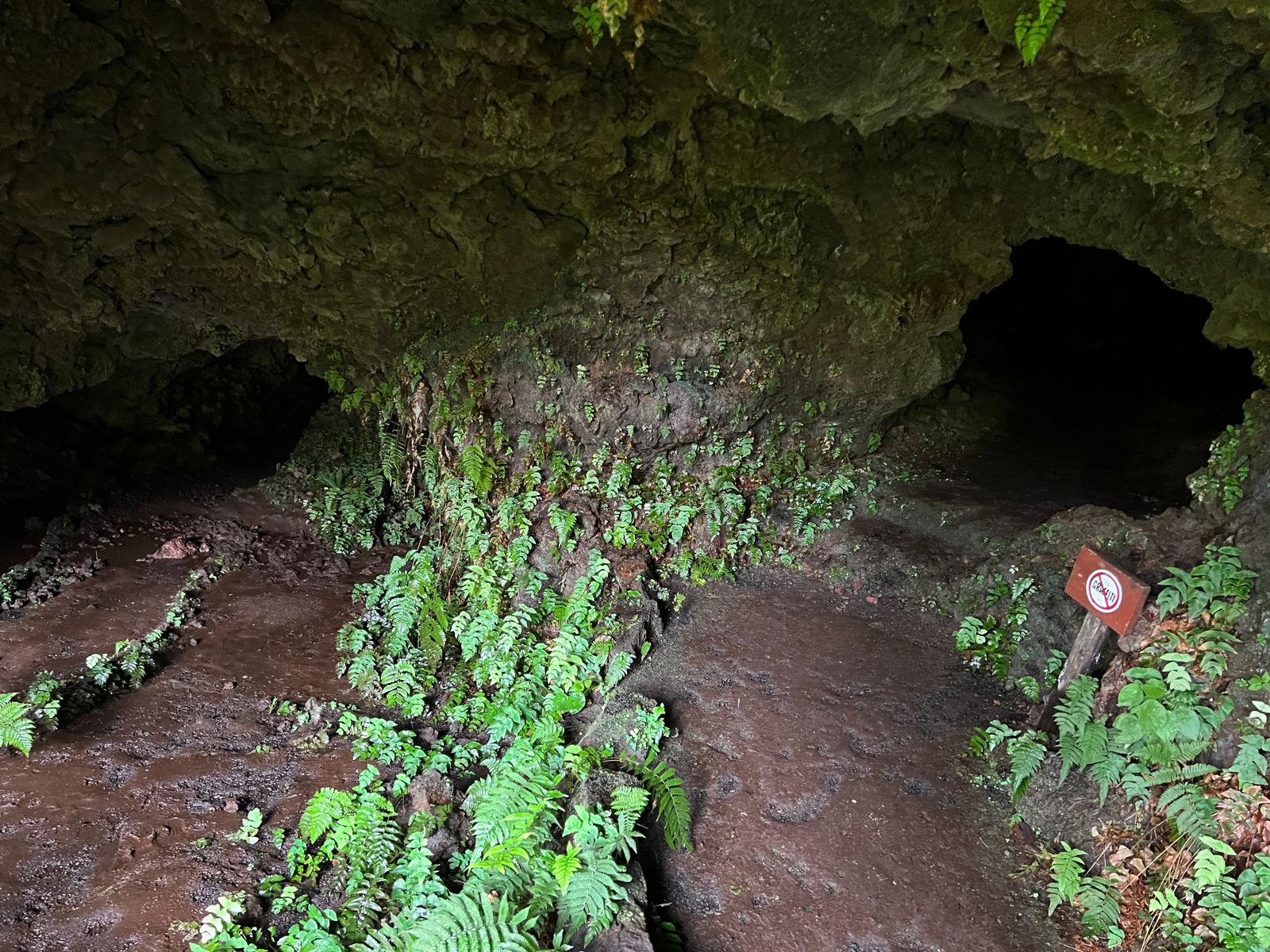 Cueva de Sucre