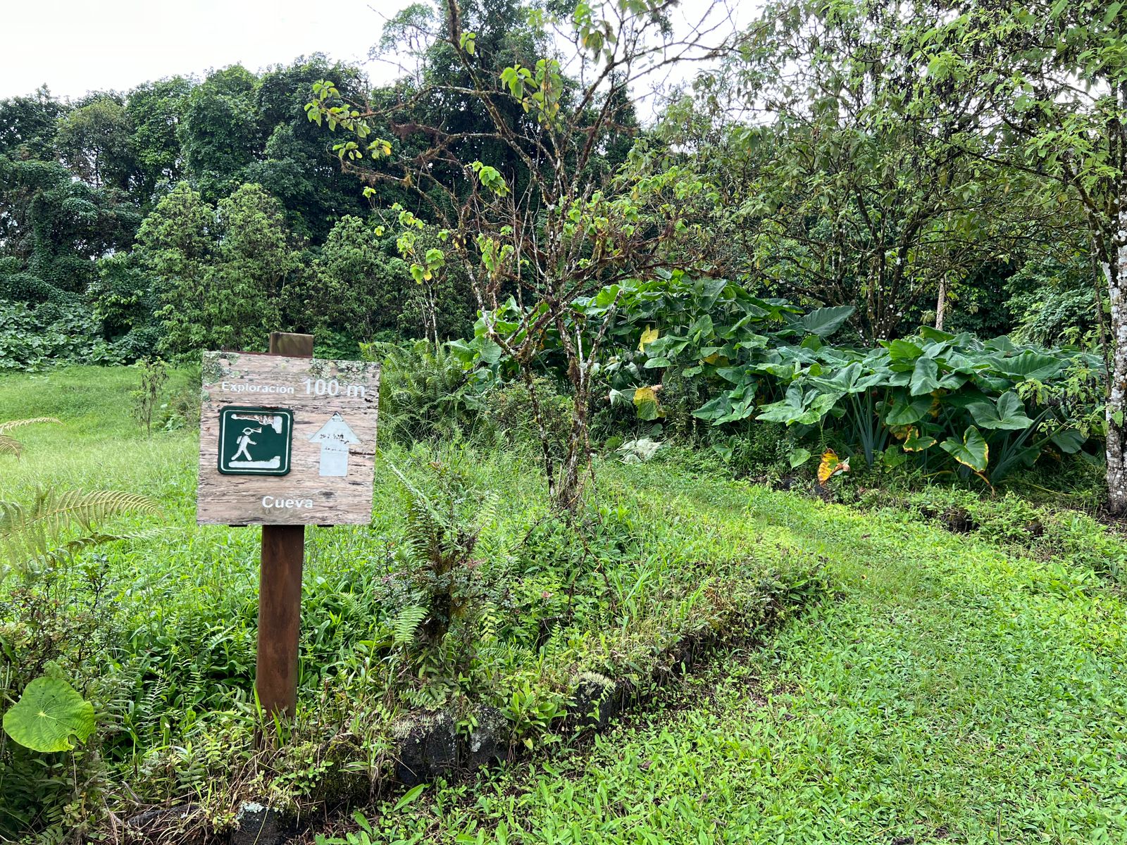 Sendero Cueva de Sucre